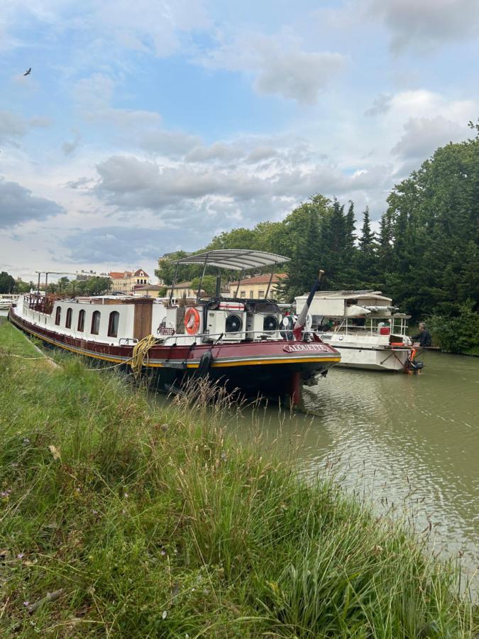 Carcassonne Aigle D Or Apartment ภายนอก รูปภาพ
